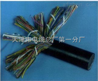 天津市電纜總廠第一分廠 專業打造礦用通信電纜，保障井下配線與用戶線路穩定可靠